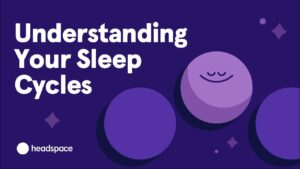 How sleep cycle works